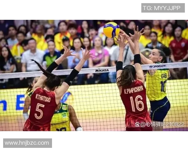 最新排球力量排行榜揭晓北京排球队强势领跑前十名